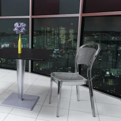 Chaise De Cuisine|Chaise De Salle à Manger*Bee Chaise moderne en polycarbonate