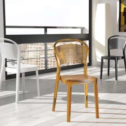 Chaise De Cuisine|Chaise De Salle à Manger*Bee Chaise moderne en polycarbonate