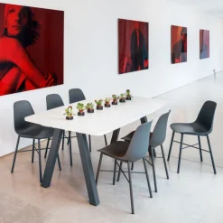 Perfecta Chaise De Cuisine|Chaise Salon*Cloe Chaise moderne en polypropylène et métal