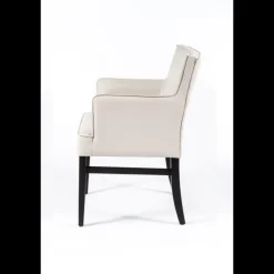 Sessio Chaise De Cuisine|Chaise De Salle à Manger*Diem 40 Fauteuil contemporain en synthétique et bois