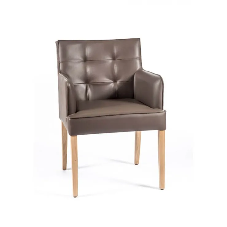 Sessio Chaise De Cuisine|Chaise De Salle à Manger*Diem 2 Fauteuil matelassé avec accoudoirs