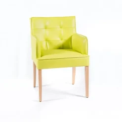 Sessio Chaise De Cuisine|Chaise De Salle à Manger*Diem 2 Fauteuil matelassé avec accoudoirs