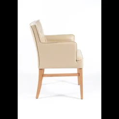 Sessio Chaise De Cuisine|Chaise De Salle à Manger*Diem 4 Fauteuil matelassé en synthétique et bois