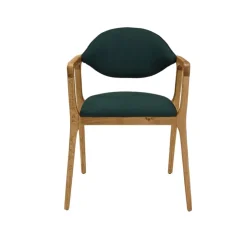 Dasras Chaise De Salle à Manger|Chaise Salon*Eden Fauteuil design en bois massif et tissu