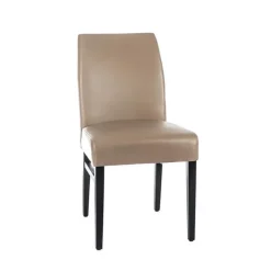 Sessio Chaise De Cuisine|Chaise De Salle à Manger*Fritz 40