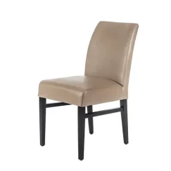 Sessio Chaise De Cuisine|Chaise De Salle à Manger*Fritz 40