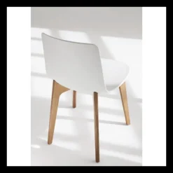 Enea Chaise De Cuisine|Chaise De Salle à Manger*Lottus ® Chaise design en polypropylène et pieds bois