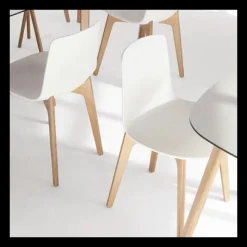 Enea Chaise De Cuisine|Chaise De Salle à Manger*Lottus ® Chaise design en polypropylène et pieds bois