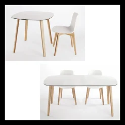 Enea Chaise De Cuisine|Chaise De Salle à Manger*Lottus ® Chaise design en polypropylène et pieds bois