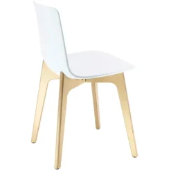 Enea Chaise De Cuisine|Chaise De Salle à Manger*Lottus ® Chaise design en polypropylène et pieds bois