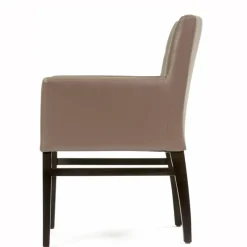 Sessio Chaise De Cuisine|Chaise De Salle à Manger*Matiz 4 Fauteuil contemporain en synthétique et bois