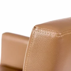 Sessio Chaise De Cuisine|Chaise De Salle à Manger*Matiz 4 Fauteuil contemporain en synthétique et bois