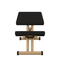 Varier Chaise De Bureau|Chaise Salon*Multi ® Siège de bureau ergonomique en tissu et bois