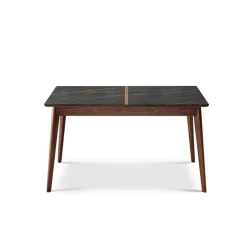 Dasras Table De Salle à Manger*Paul Table extensible en bois et en céramique