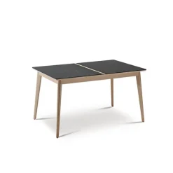 Dasras Table De Salle à Manger*Paul Table extensible en bois et en céramique