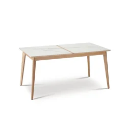 Dasras Table De Salle à Manger*Paul Table extensible en bois et en céramique