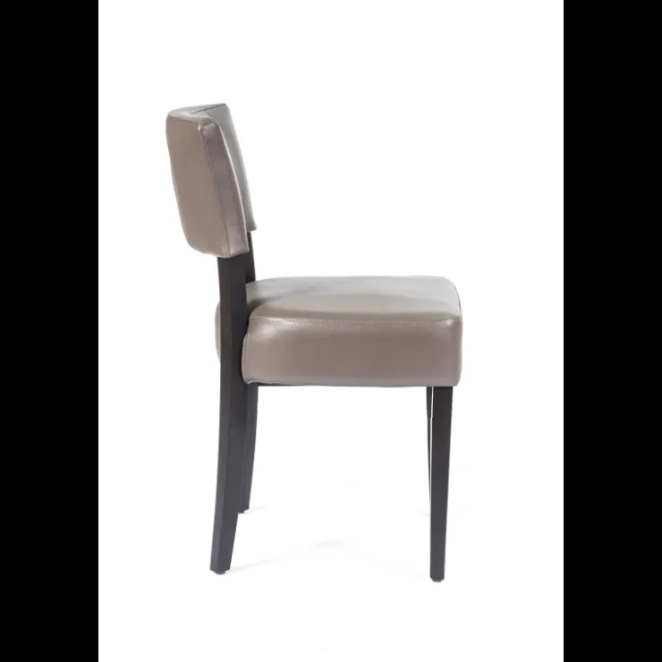 Sessio Chaise De Cuisine|Chaise De Salle à Manger*Steffi 2 Chaise de salle à manger en synthétique et bois