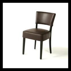 Sessio Chaise De Cuisine|Chaise De Salle à Manger*Steffi Chaise de salle à manger en bois et synthétique