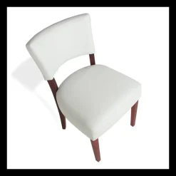 Sessio Chaise De Cuisine|Chaise De Salle à Manger*Steffi Chaise de salle à manger en bois et synthétique