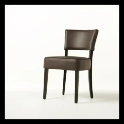 Sessio Chaise De Cuisine|Chaise De Salle à Manger*Steffi Chaise de salle à manger en bois et synthétique