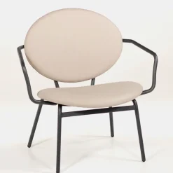 Carrier Chaise De Cuisine|Chaise De Salle à Manger*Titan ® Fauteuil confort pour personne à forte corpulence